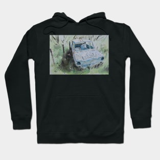 Scrapped Hillman Imp with Butterfly Hoodie